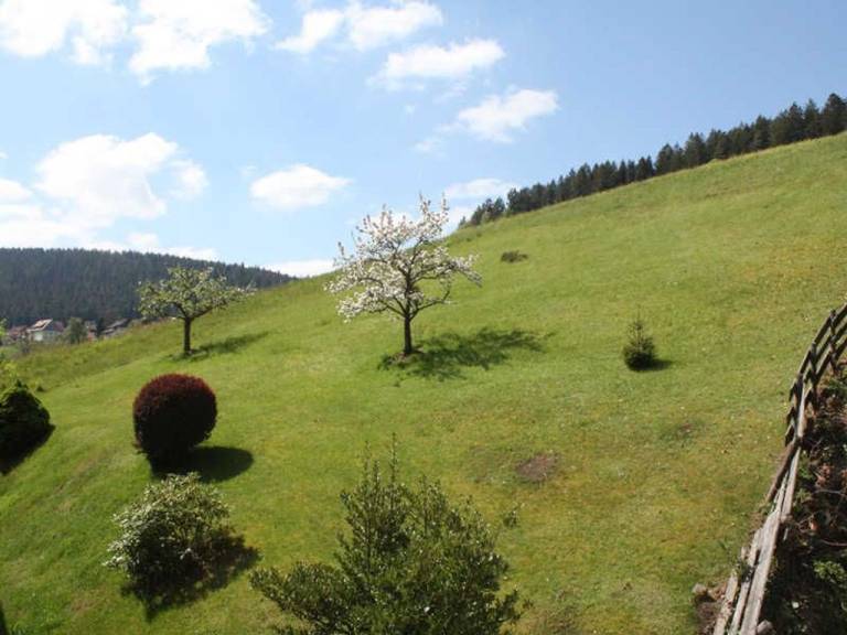 foto12