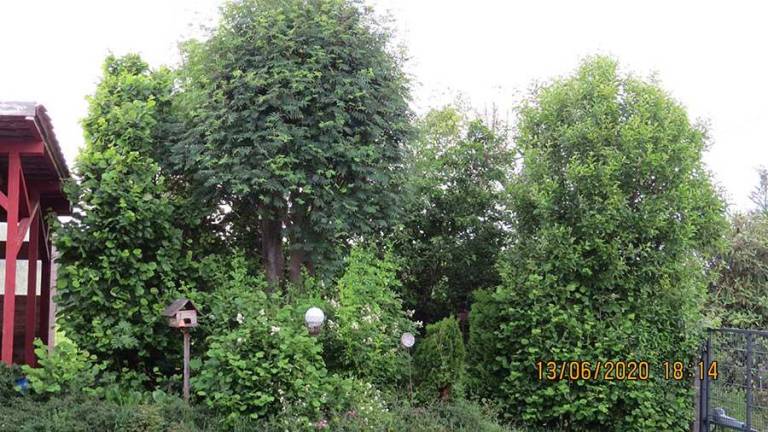foto2