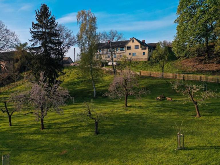 foto15