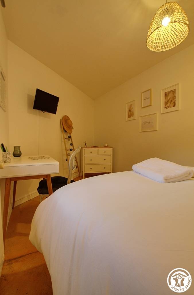 foto31