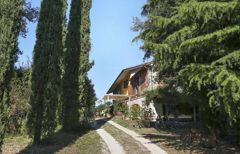 foto4