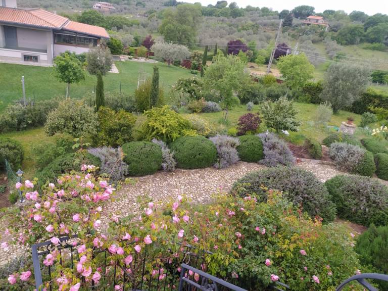 Mosaico Oltre il Giardino: Casale Rosmarino tra gli ulivi — photo 4