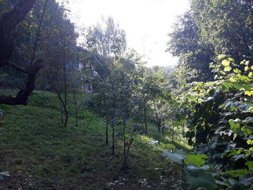 foto6