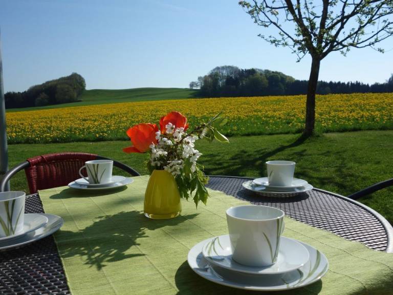 Ferienwohnung Weingarten