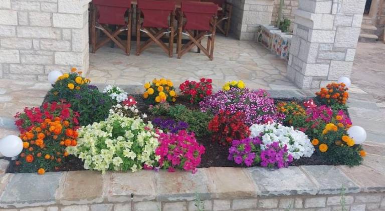 foto12