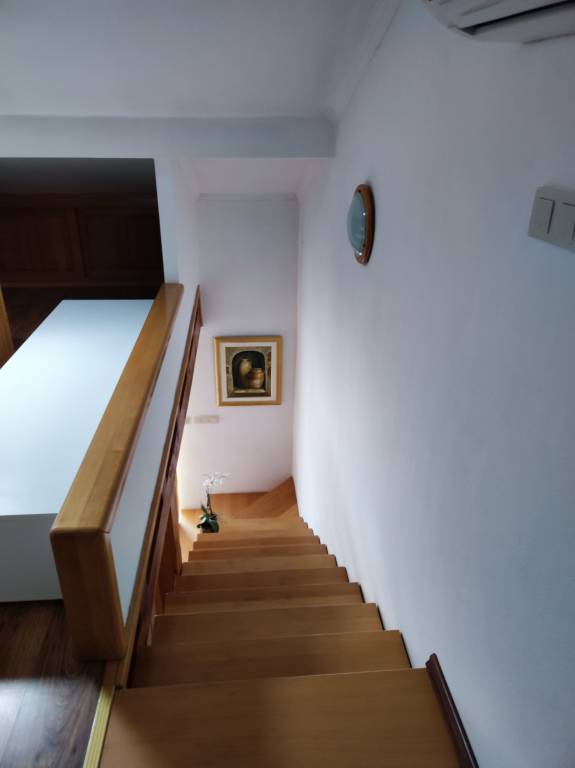 foto20