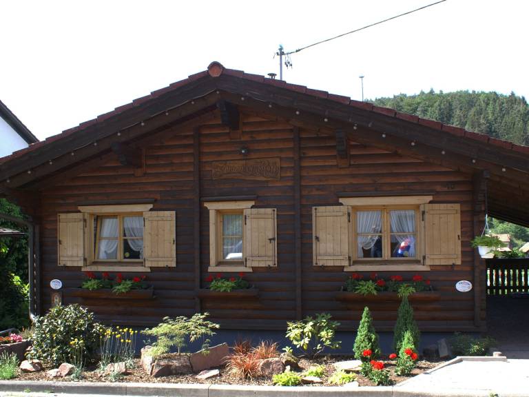 foto1