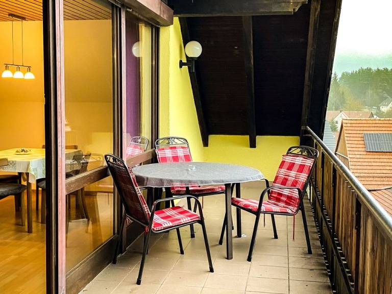 foto1