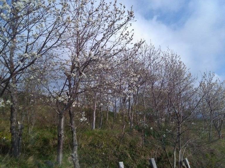 foto16