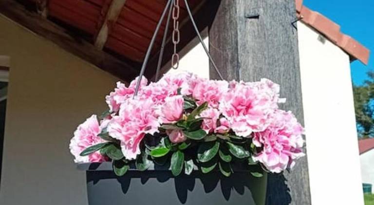 foto8