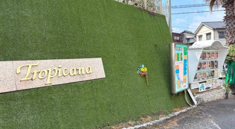 foto11