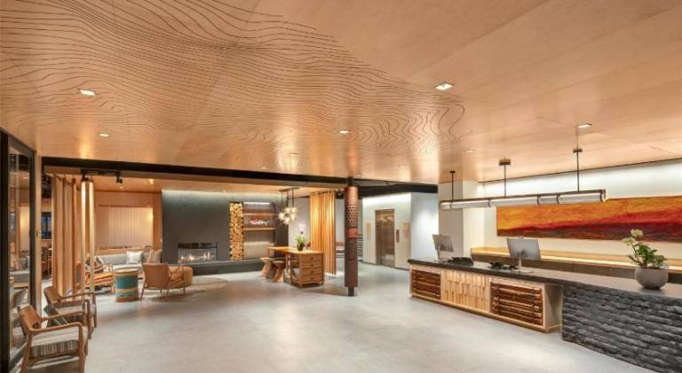 The Wildbirch Hotel - JdV by Hyatt — photo 3
