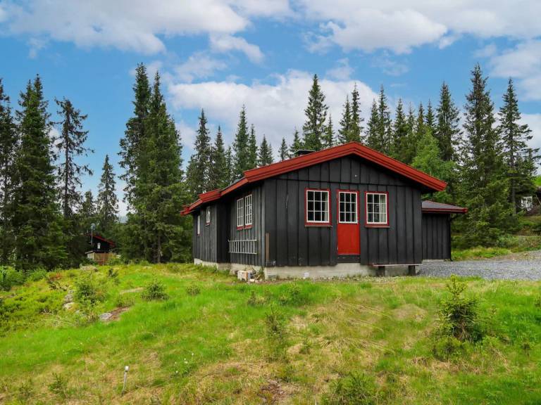 Maison de vacances  Gausdal