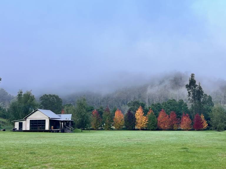 Farmhouse Wollombi