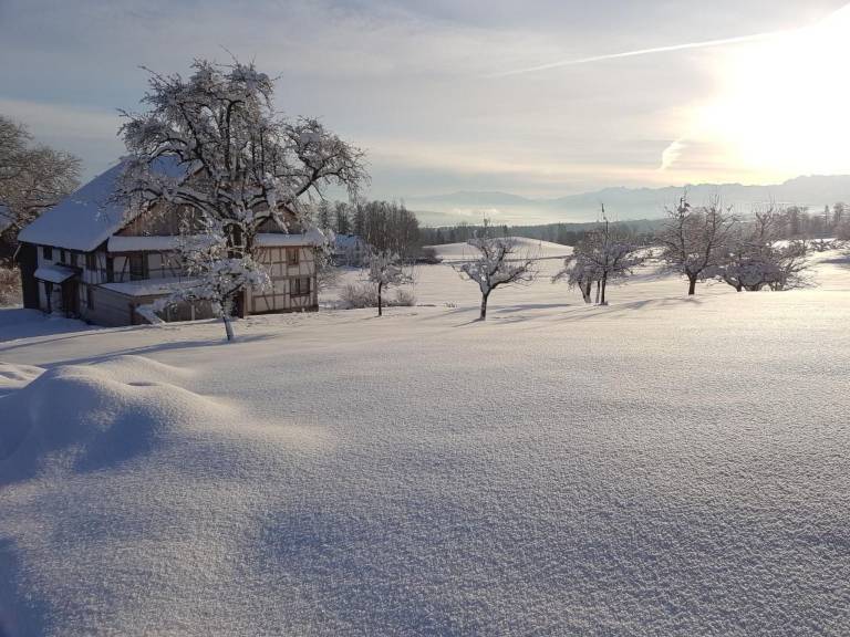 Casa Langnau am Albis