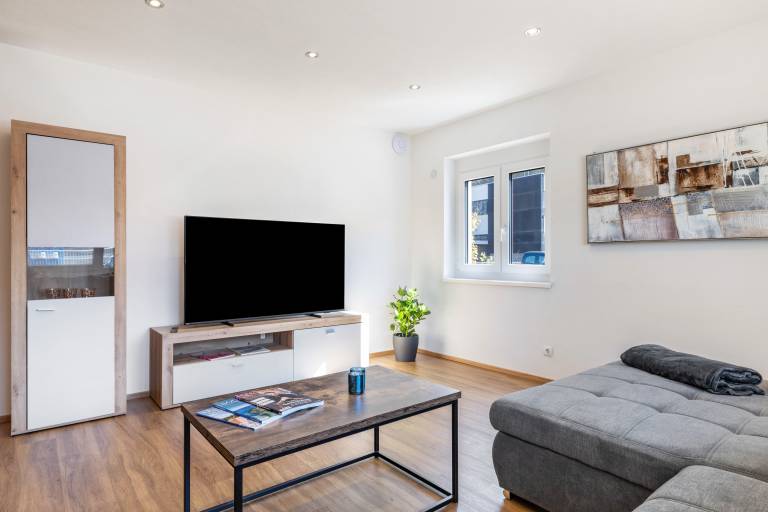 Rental apartment with fast internet | Mountain view — photo 2