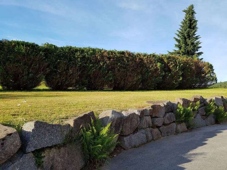 foto16