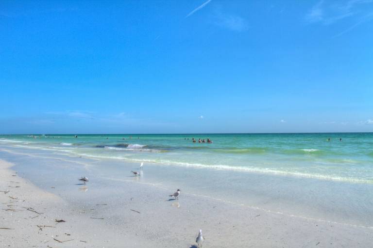 Condo Siesta Key