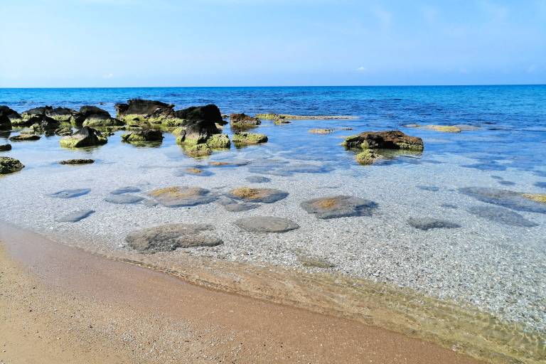 Oasi Sul Mare - Bungalow a 120m dalla spiaggia — photo 4