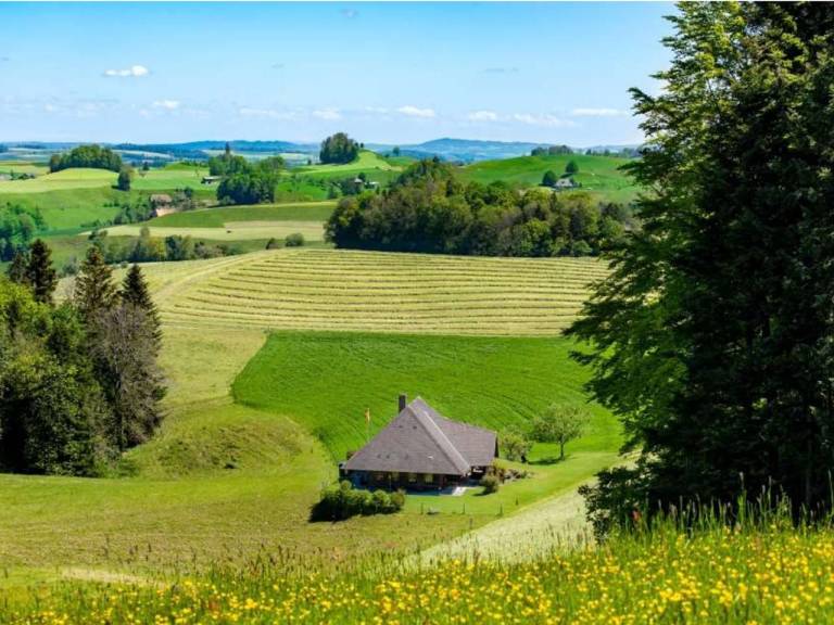 Ferienhaus Huttwil