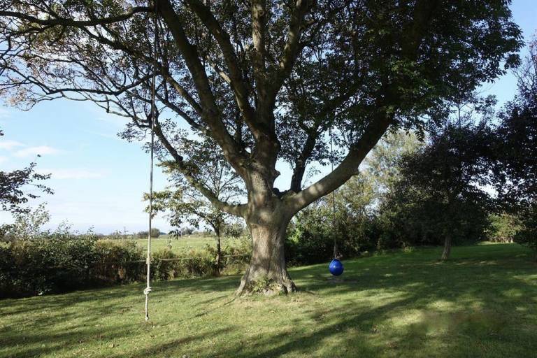 foto33
