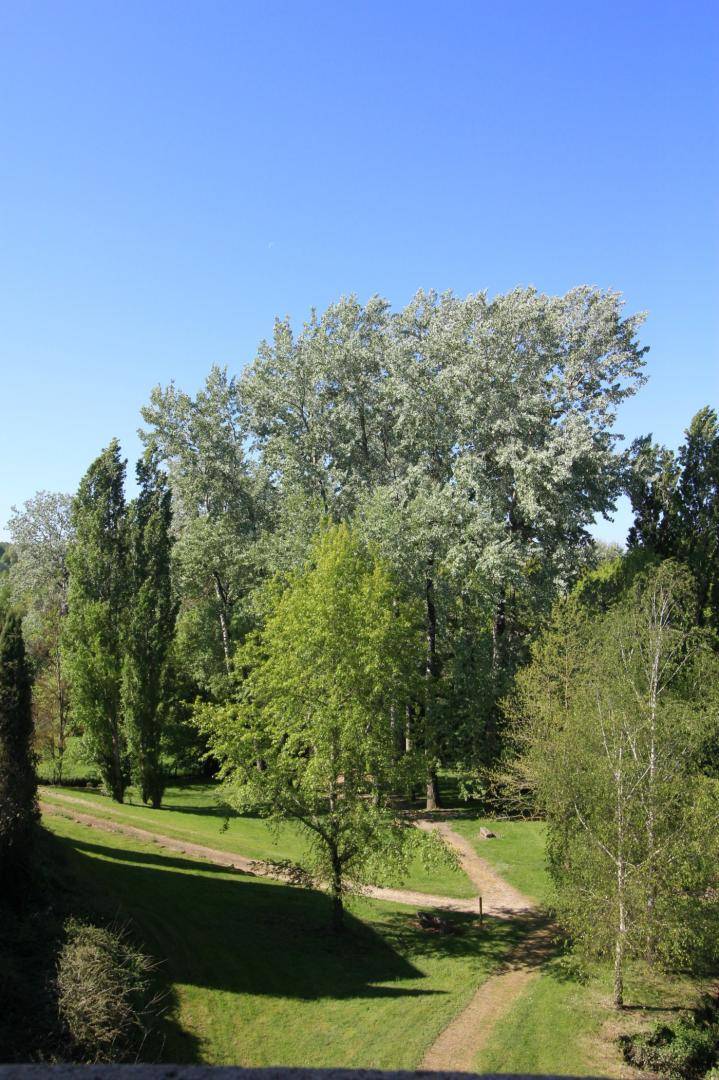 foto19
