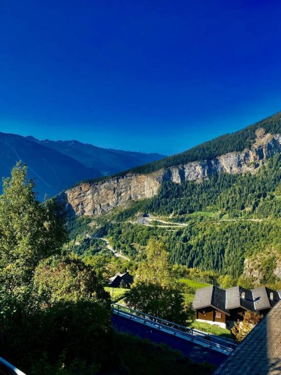 foto41