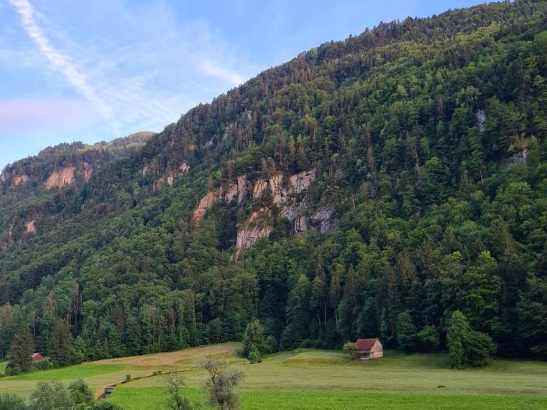 foto12