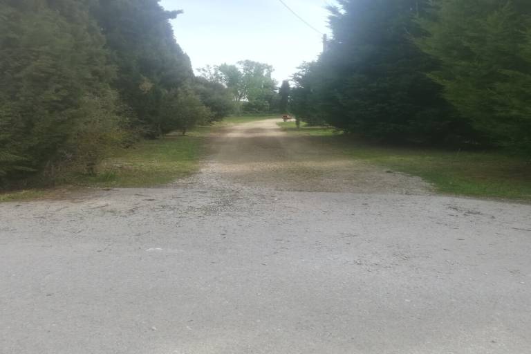 foto21