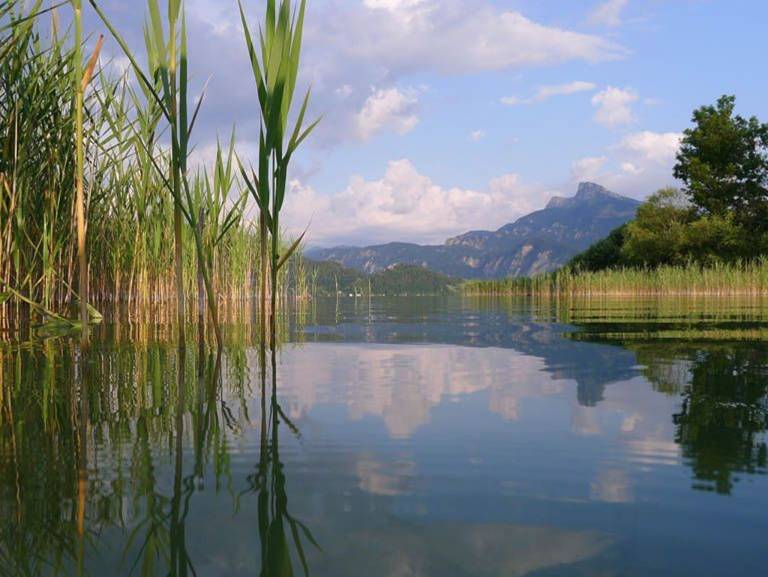 Landhaus  Mondsee