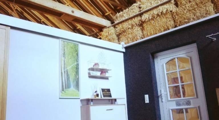 Rental apartment | Pets are welcome — photo 4