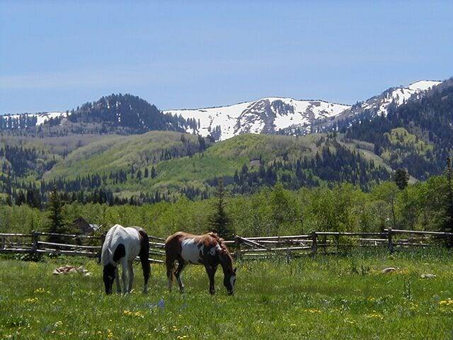Chalet Park City