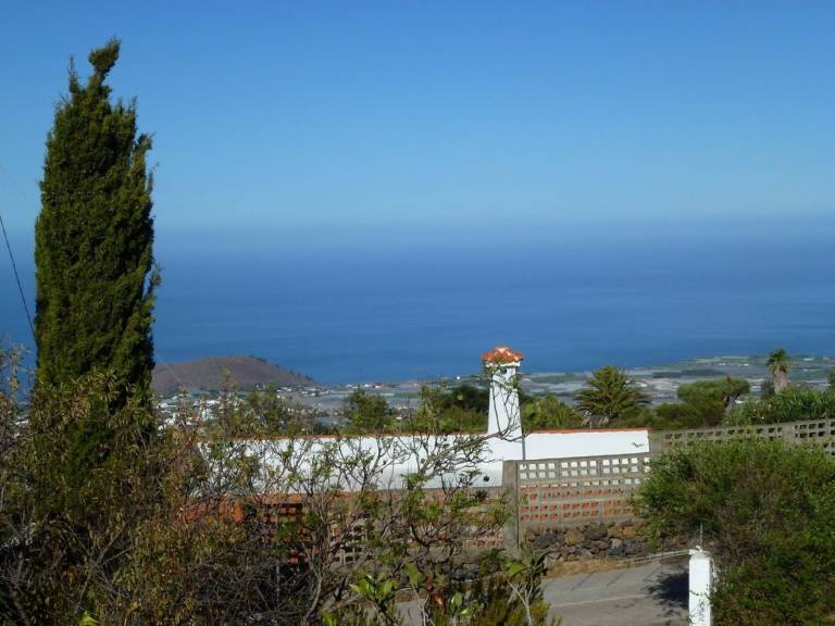 foto19