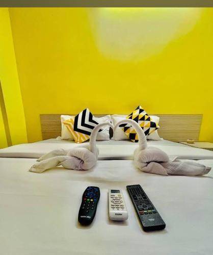 Collection o yellow rose