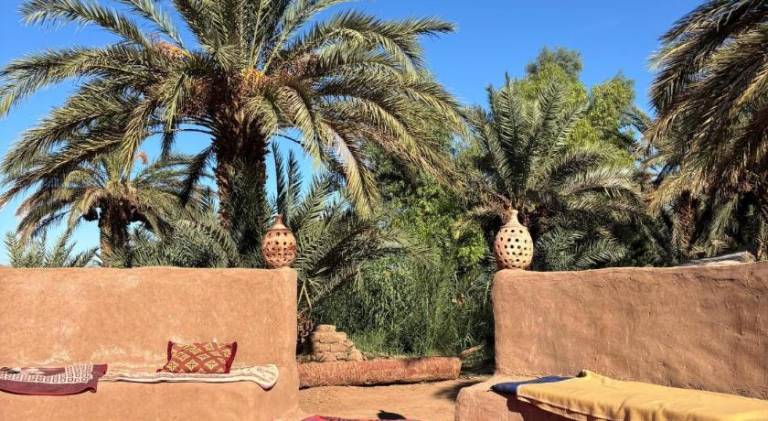 Oasis source de vie — photo 4