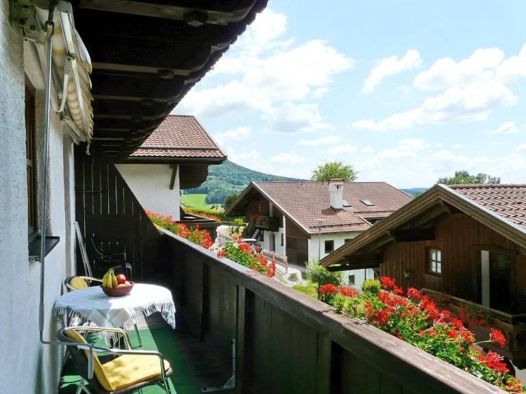 foto14