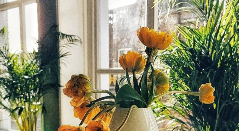 foto17