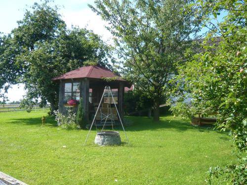 foto8