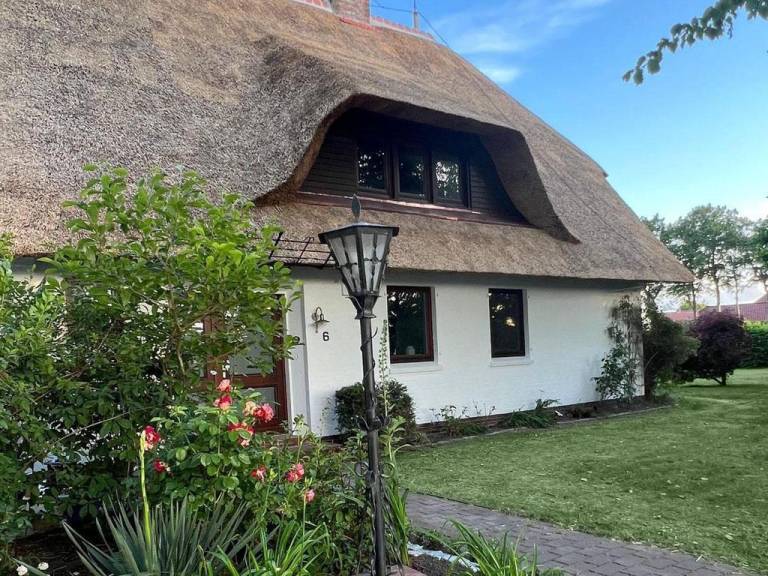 foto20