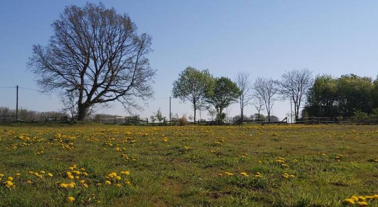 125 m² Ferienwohnung