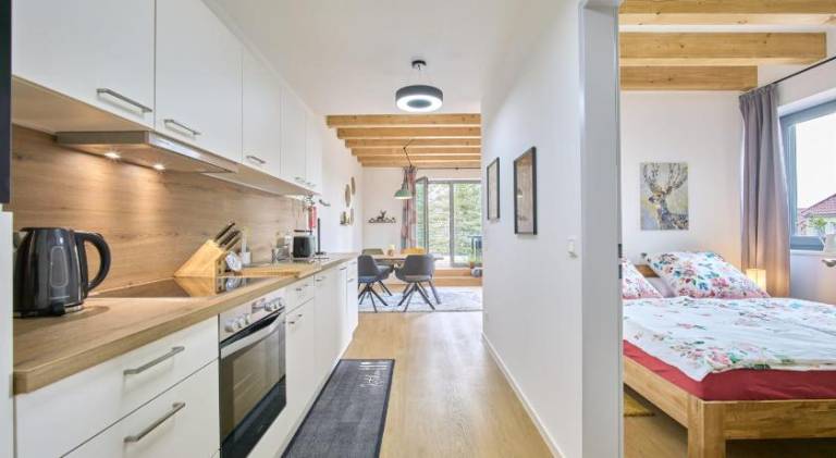 Apartment with terrace — photo 4