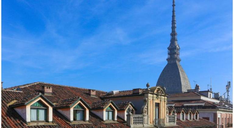 MoleView Nest on the Turin rooftops WIFI AC — photo 4