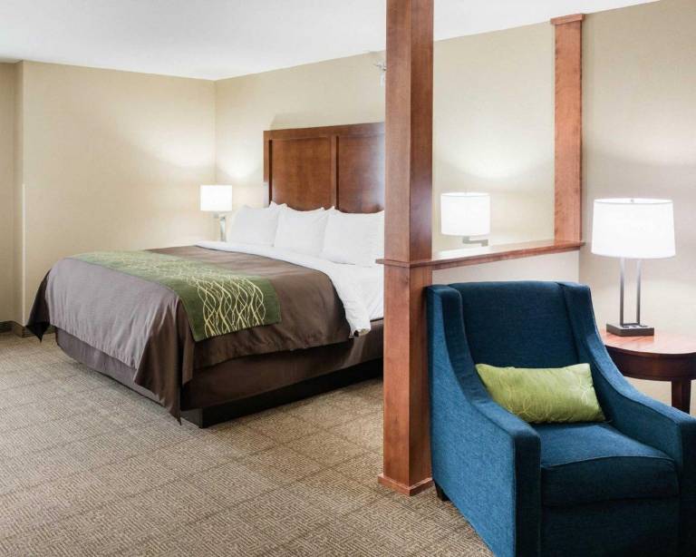 Comfort Inn & Suites West - Medical Center in Rochester, MN
