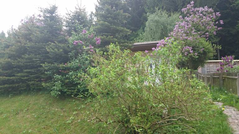 foto9