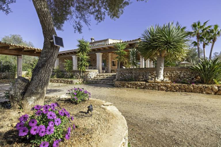 Ferienhaus mit Hund in El Palmer, Mallorca für max. 5 Personen