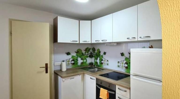 Apartment | Pet-friendly — photo 4
