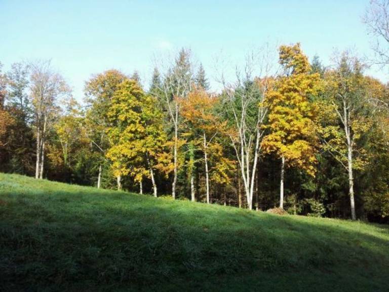 foto22