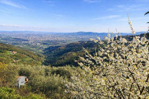 Rental apartment with BBQ, garden & terrace in Pistoia
