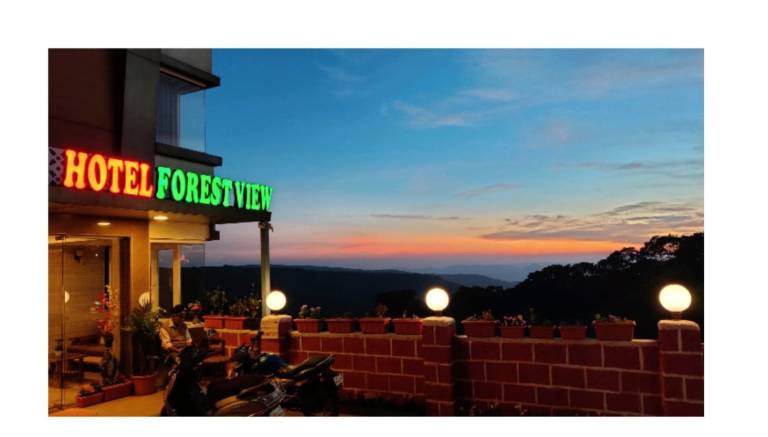 Hotel Forest View