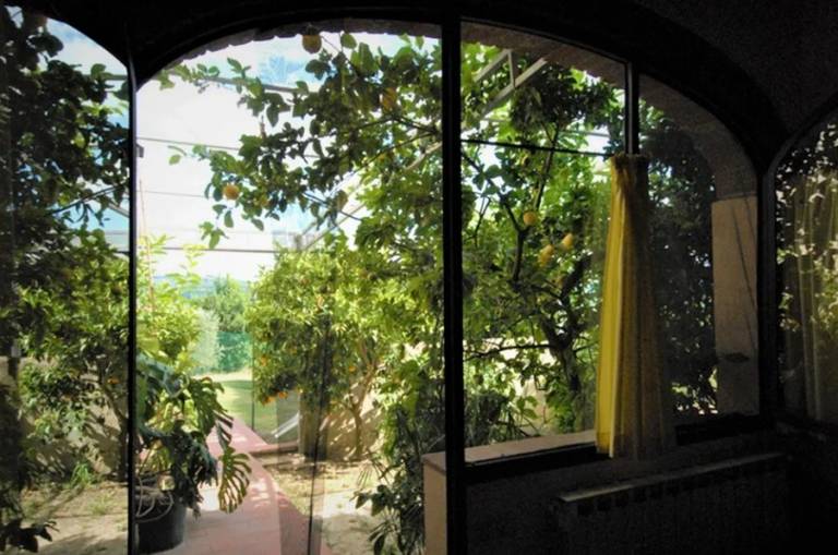 foto8